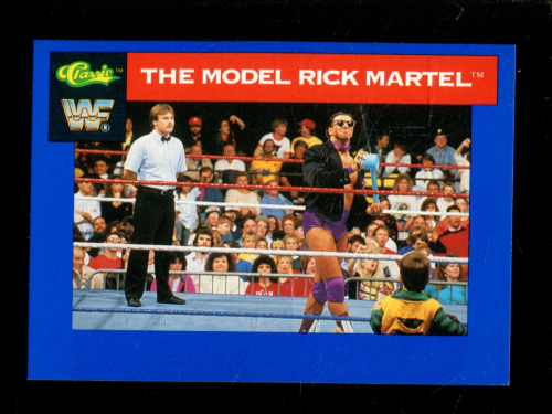 B1105 - 1991 Classic WWF Superstars Wrestling 1-150 -Sie wählen aus- 15+ KOSTENLOSER US-VERSAND - Bild 44 von 107