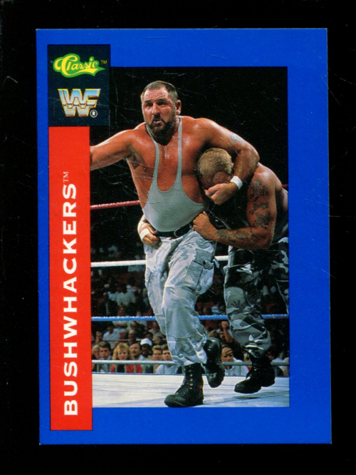 B1105- 1991 Classic WWF Superstars Wrestling 1-150 -You Pick- 15+ FREE US SHIP - Picture 48 of 110