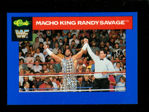 B1105 - 1991 Classic WWF Superstars Wrestling 1-150 -Sie wählen aus- 15+ KOSTENLOSER US-VERSAND - Bild 48 von 107