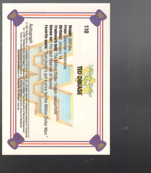 B1105 - 1991 Classic WWF Superstars Wrestling 1-150 -Sie wählen aus- 15+ KOSTENLOSER US-VERSAND - Bild 73 von 107