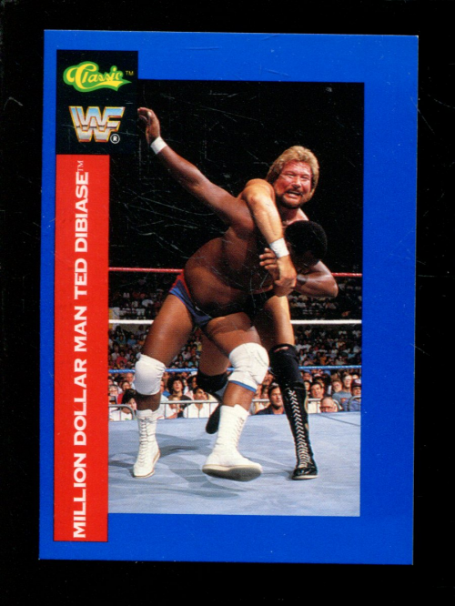 B1105- 1991 Classic WWF Superstars Wrestling 1-150 -You Pick- 15+ FREE US SHIP - Picture 73 of 110