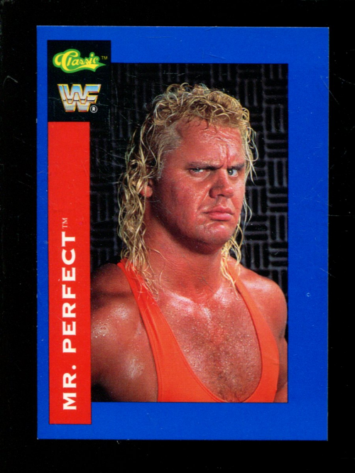 B1105- 1991 Classic WWF Superstars Wrestling 1-150 -You Pick- 15+ FREE US SHIP - Picture 76 of 110