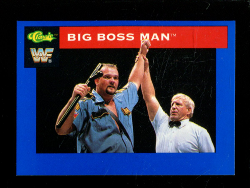 B1105 - 1991 Classic WWF Superstars Wrestling 1-150 -Sie wählen aus- 15+ KOSTENLOSER US-VERSAND - Bild 78 von 107