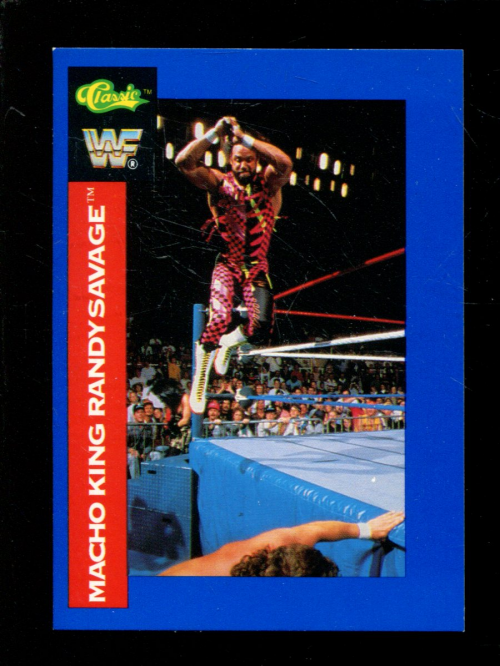 B1105- 1991 Classic WWF Superstars Wrestling 1-150 -You Pick- 15+ FREE US SHIP - Picture 80 of 110