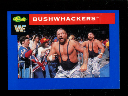 B1105 - 1991 Classic WWF Superstars Wrestling 1-150 -Sie wählen aus- 15+ KOSTENLOSER US-VERSAND - Bild 81 von 107