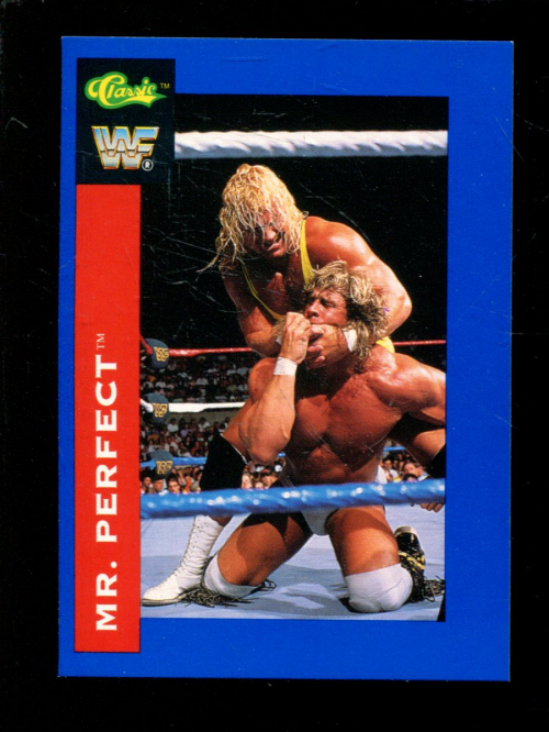 B1105- 1991 Classic WWF Superstars Wrestling 1-150 -You Pick- 15+ FREE US SHIP - Picture 82 of 110