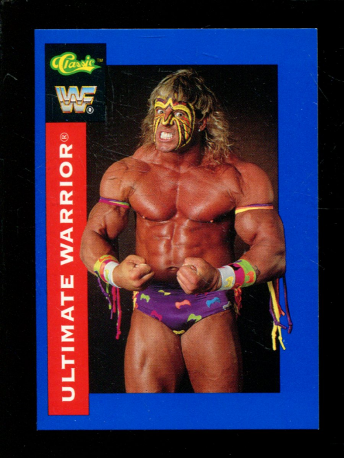 B1105- 1991 Classic WWF Superstars Wrestling 1-150 -You Pick- 15+ FREE US SHIP - Picture 85 of 110