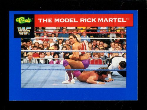 B1105 - 1991 Classic WWF Superstars Wrestling 1-150 -Sie wählen aus- 15+ KOSTENLOSER US-VERSAND - Bild 91 von 107