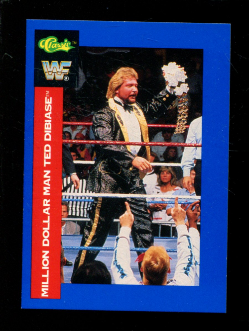 B1105- 1991 Classic WWF Superstars Wrestling 1-150 -You Pick- 15+ FREE US SHIP - Picture 94 of 110