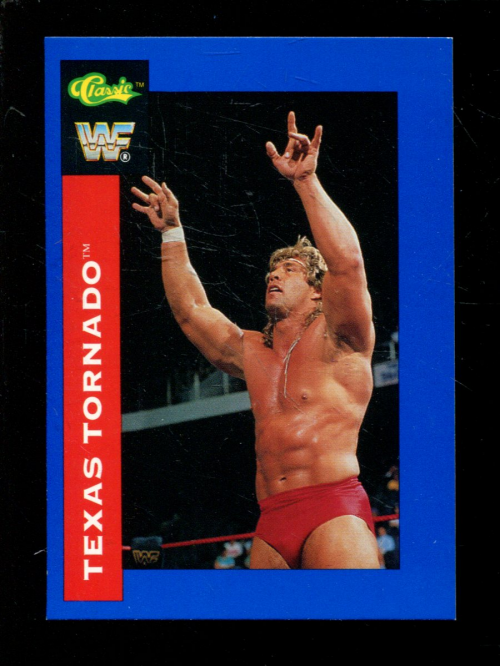 B1105- 1991 Classic WWF Superstars Wrestling 1-150 -You Pick- 15+ FREE US SHIP - Picture 95 of 110