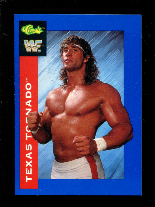 B1105- 1991 Classic WWF Superstars Wrestling 1-150 -You Pick- 15+ FREE US SHIP - Picture 104 of 110