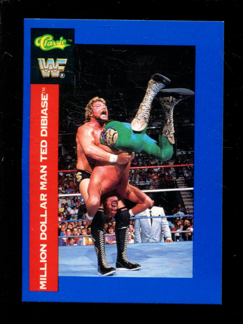 B1105- 1991 Classic WWF Superstars Wrestling 1-150 -You Pick- 15+ FREE US SHIP - Picture 105 of 110