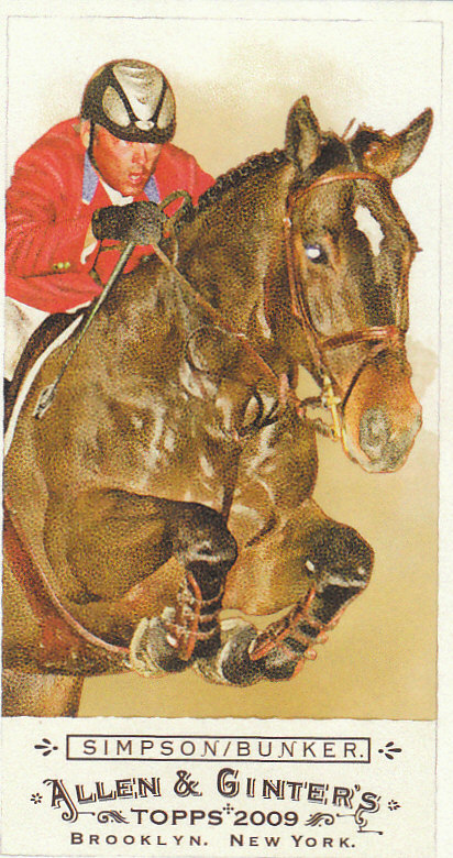 2009 Allen and Ginter (Topps) Baseball "Mini" Parallel Cards - Picture 364 of 409