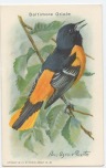 1938 Church and Dwight Useful Birds of America J9-6 #8 Baltimore Oriole