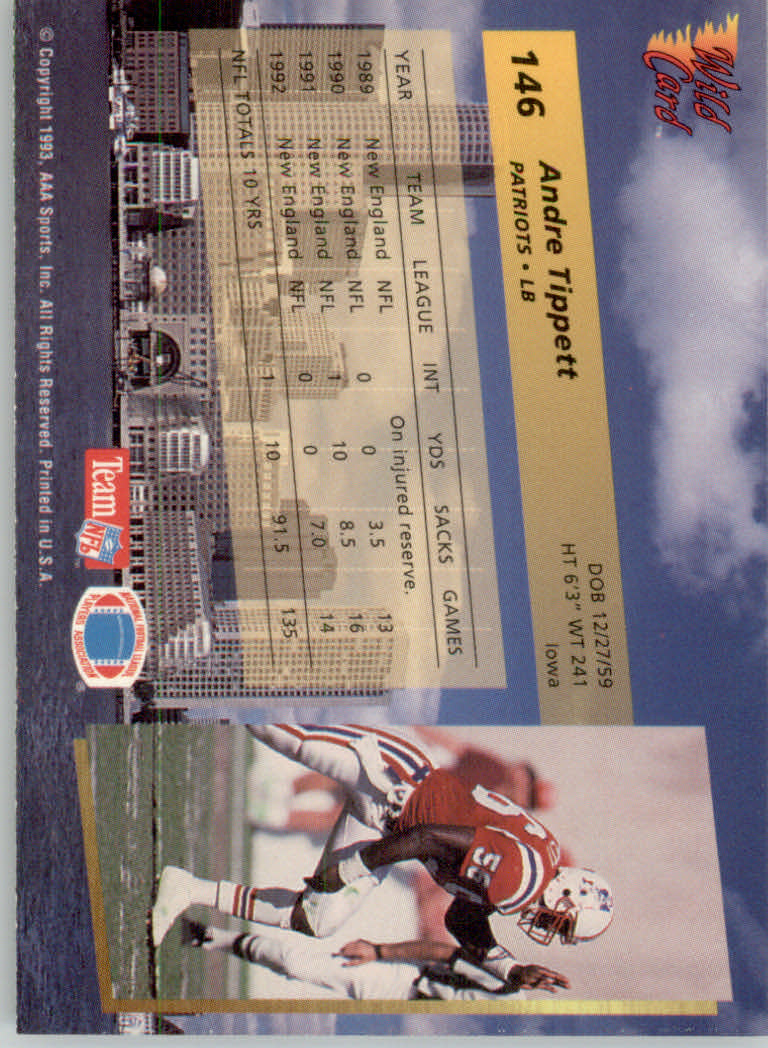 1993 Wild Card Football "Main Set" Base Cards - Picture 281 of 368