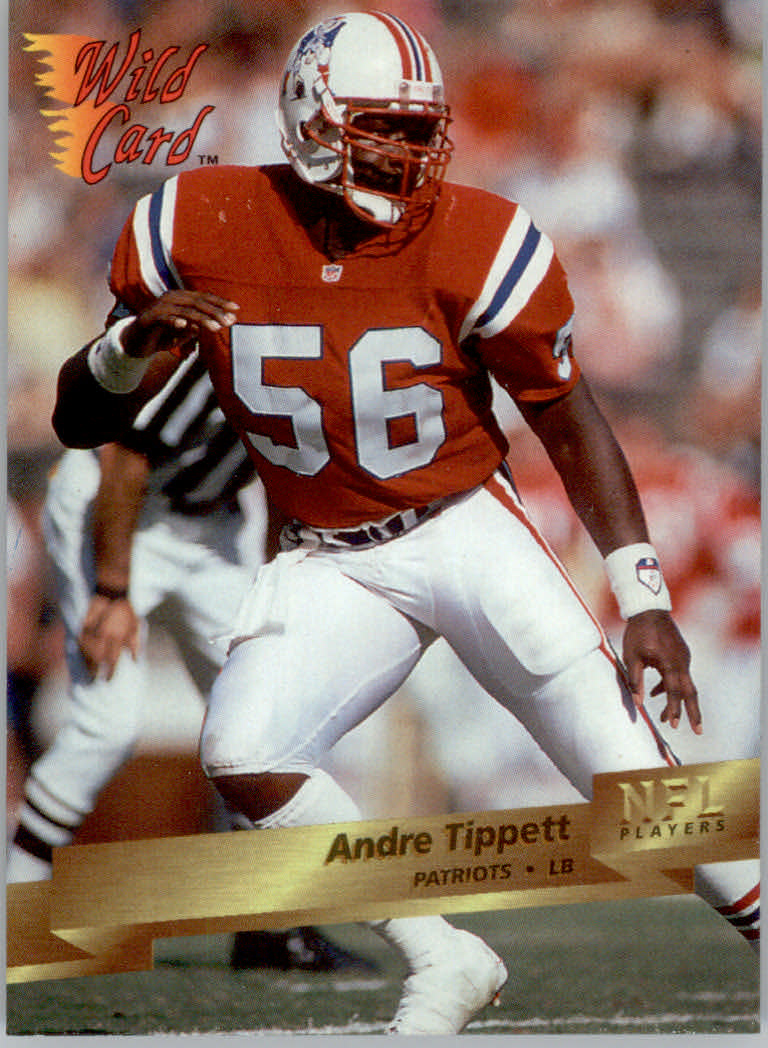 1993 Wild Card Football "Main Set" Base Cards - Picture 280 of 368