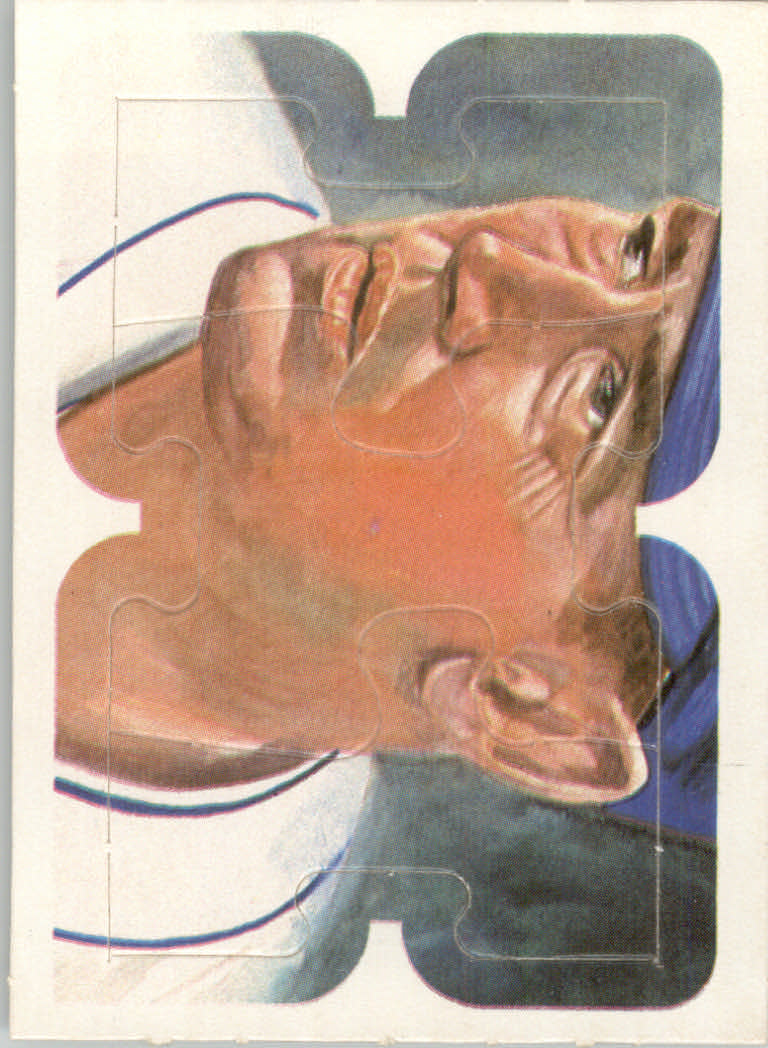 1984 Donruss Baseball "Ted Williams Puzzle" Cards - Picture 12 of 37
