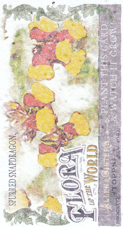 2011 Topps Allen and Ginter Mini Flora of the World #FOW2 Spurred Snapdragon