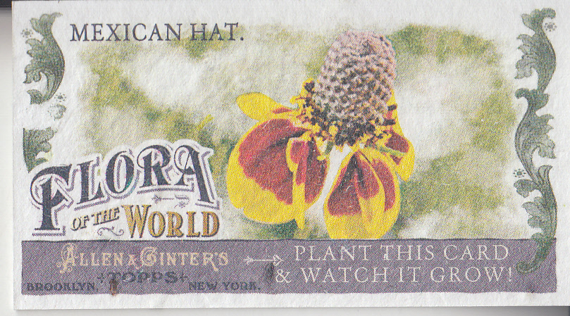 2011 Topps Allen and Ginter Mini Flora of the World #FOW4 Mexican Hat