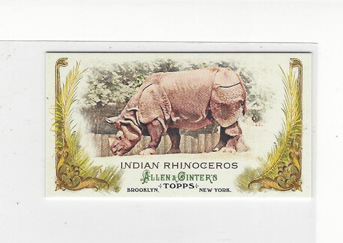 2011 Topps Allen and Ginter Mini Animals in Peril #AP14 Indian Rhinoceros