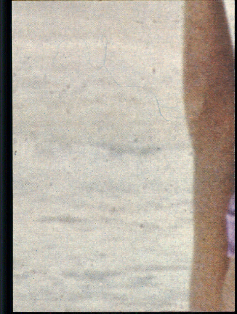 Charlie's Angels (1977 Topps) "Main Set" Cards - Picture 47 of 161