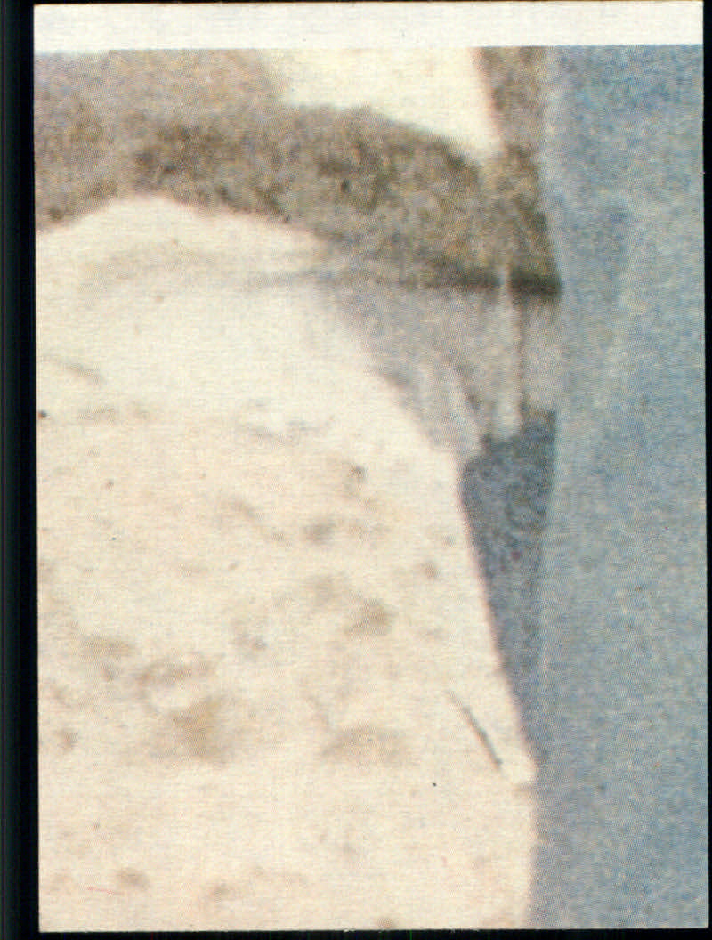 Charlie's Angels (1977 Topps) "Main Set" Cards - Picture 55 of 161