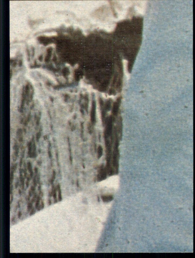 Charlie's Angels (1977 Topps) "Main Set" Cards - Picture 131 of 161