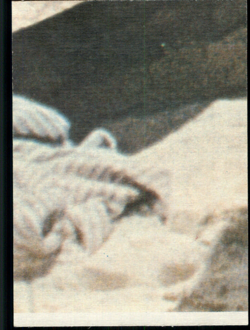 Charlie's Angels (1977 Topps) "Main Set" Cards - Picture 151 of 161