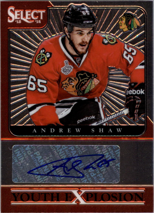 2013-14 Select Youth Explosion Autographs #YEAS Andrew Shaw EXCH