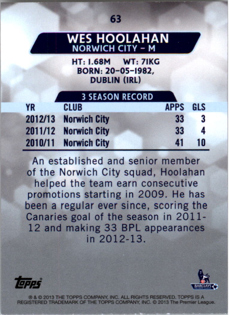 2013-14 Topps English Premier League Gold #63 Wes Hoolahan back image
