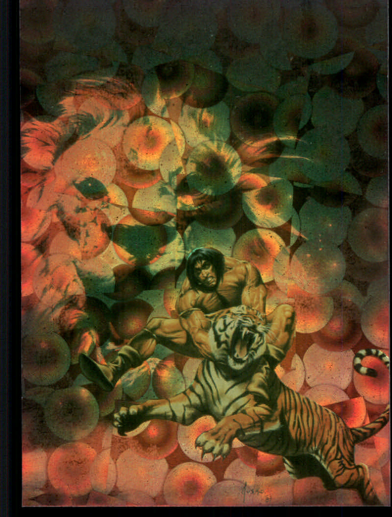 Conan Series Two (1994 Comic Images) Cards - Picture 186 of 189