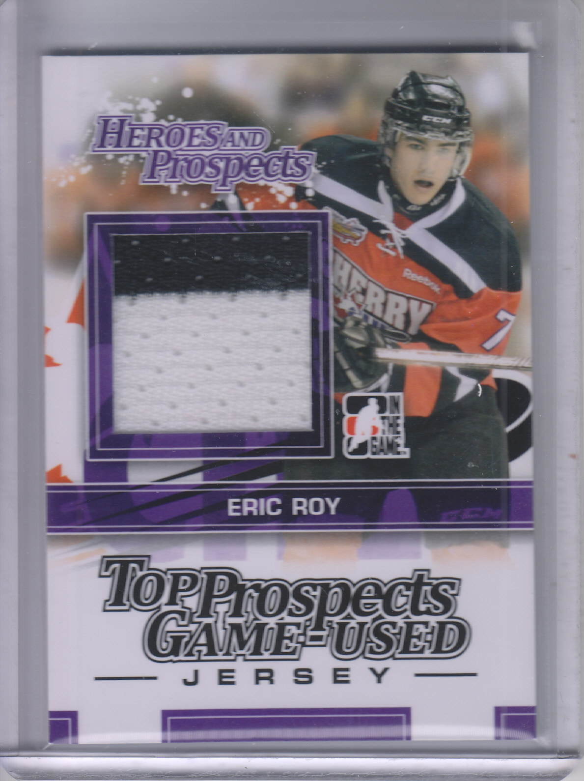 2013-14 ITG Heroes and Prospects Top Prospects Jersey #TPM24 Eric Roy