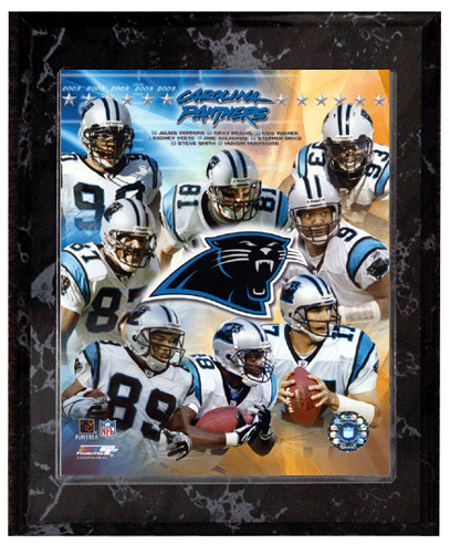 2003-2004 Carolina Panthers Team Photo Composite 10.5
