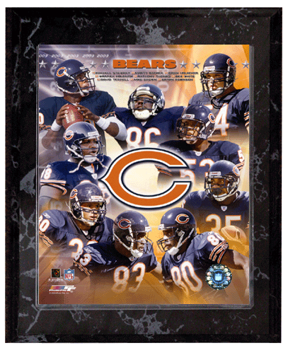 2003-2004 Chicago Bears Team Photo Composite 10.5