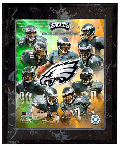 2003-2004 Philadelphia Eagles Team Photo Composite 10.5