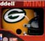 Green Bay Packers Riddell Mini Helmet