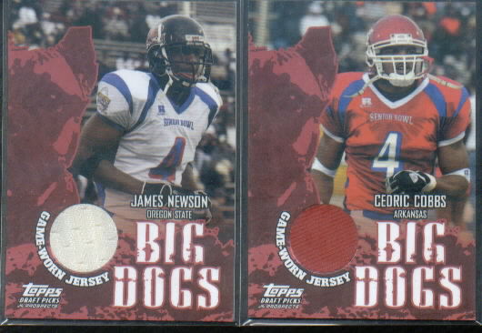 2004 Topps Draft Picks and Prospects Big Dog Relics #BDJNE James Newson E
