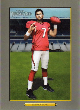 Matt Leinart Football Cards