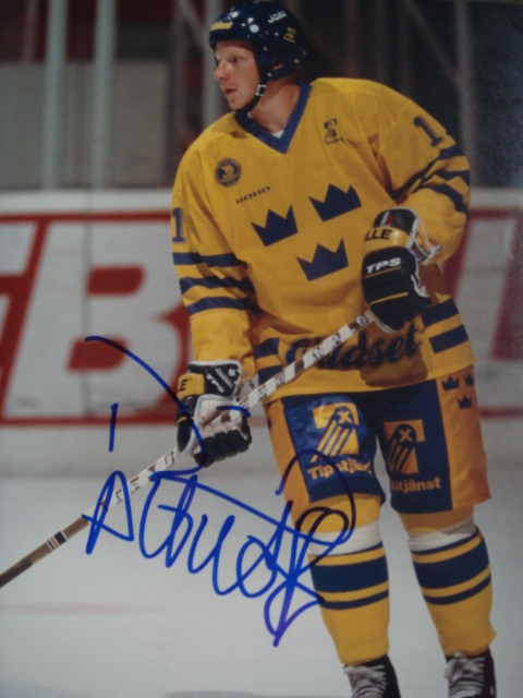 Daniel Alfiedson Autographed 8 x 10 picture with cos