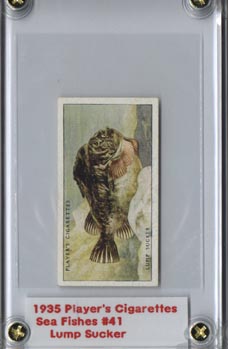 1935 Player's Cigarettes Sea Fishes Lump Sucker Excellent NICE!!