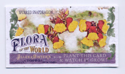2011 Topps Allen and Ginter Mini Flora of the World #FOW2 Spurred Snapdragon