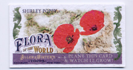 2011 Topps Allen and Ginter Mini Flora of the World #FOW3 Shirley Poppy