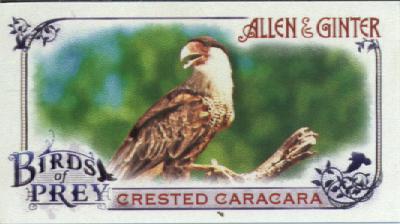 2015 Topps Allen and Ginter Mini Birds of Prey #BP6 Crested Caracara