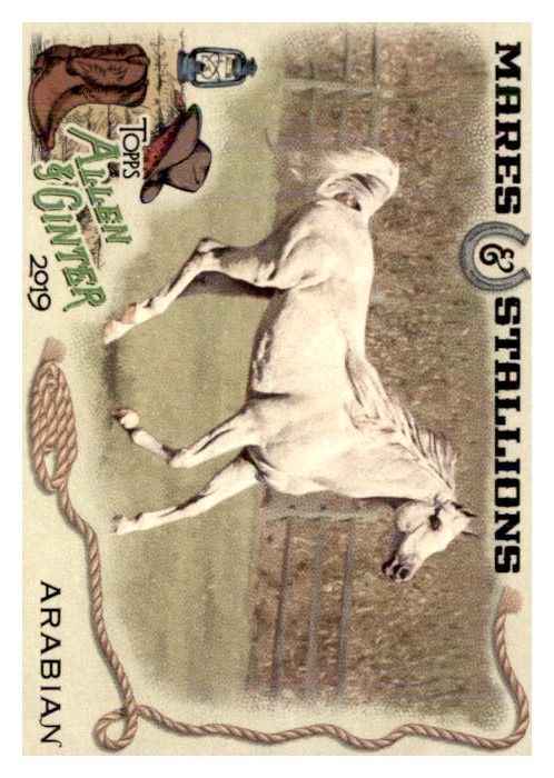 2019 Topps Allen and Ginter Mares and Stallions #MS1 Arabian Horse