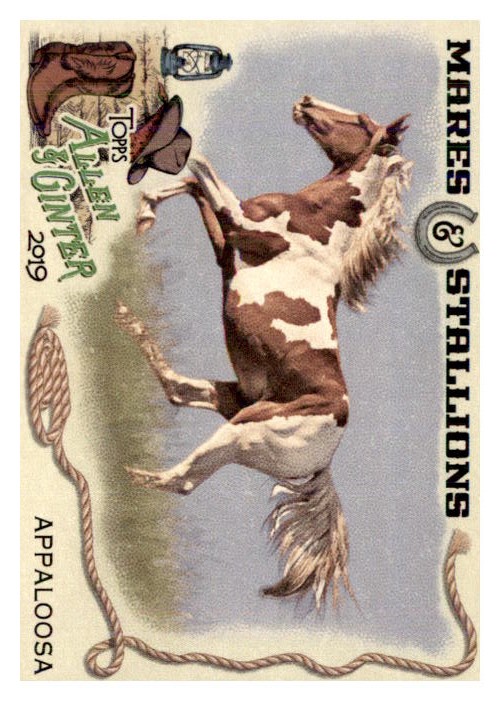 2019 Topps Allen and Ginter Mares and Stallions #MS7 Appaloosa