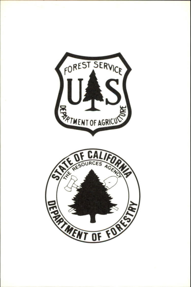 1984 Angels Smokey #17 Logo Card/Forestry Dept.