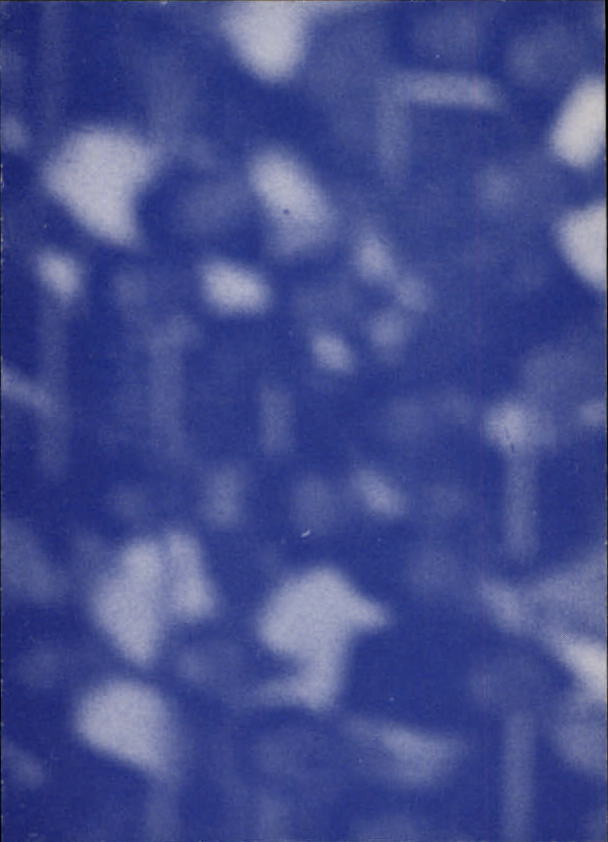 B6626- 1986 Galasso Mattingly Don BB Karte #S 1-30 -du Pick- 15 + Free US Schiff - Bild 41 von 55