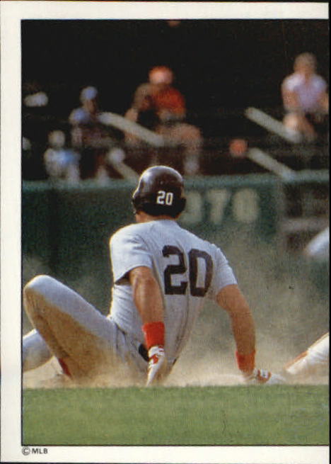 1988 Panini Stickers #10 Orioles TL/Action photo