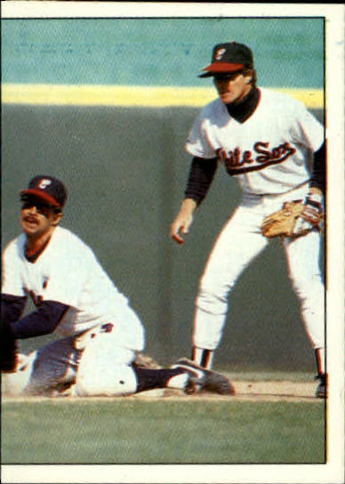 1988 Panini Stickers #59 White Sox W-L/Breakdown/(Action photo)