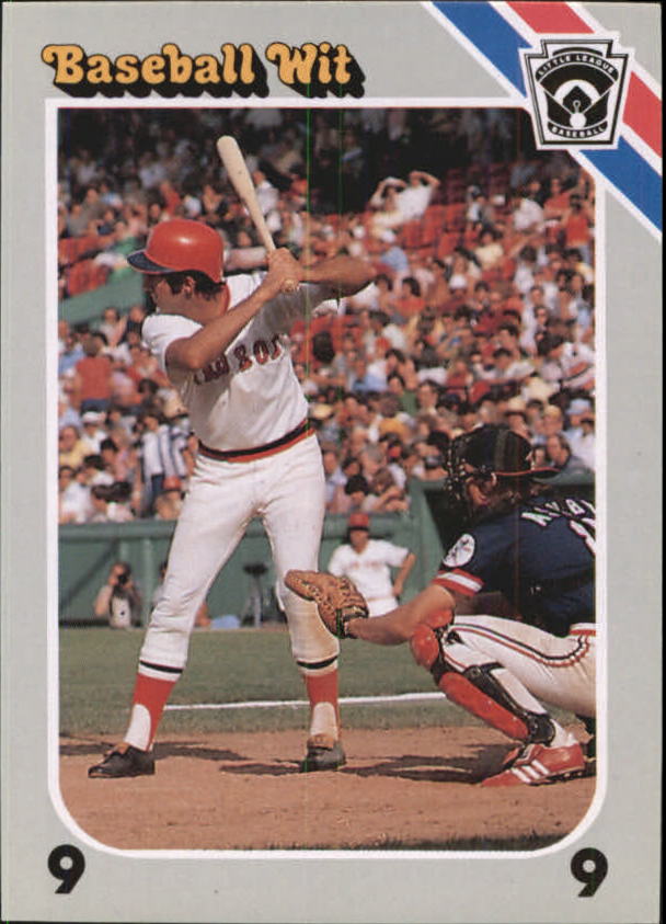 1990 Baseball Wit #28 Fred Lynn